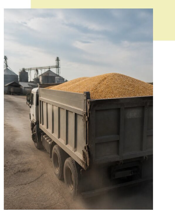 Перевозка сельхозпродукции навалом в Белорецк по цене от 3041 р. | Агросервис-Блр